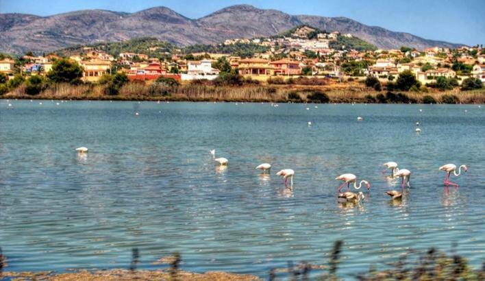 Appartement Apartamento moderno muy céntrico y cerca de la playa à Calp Extérieur photo